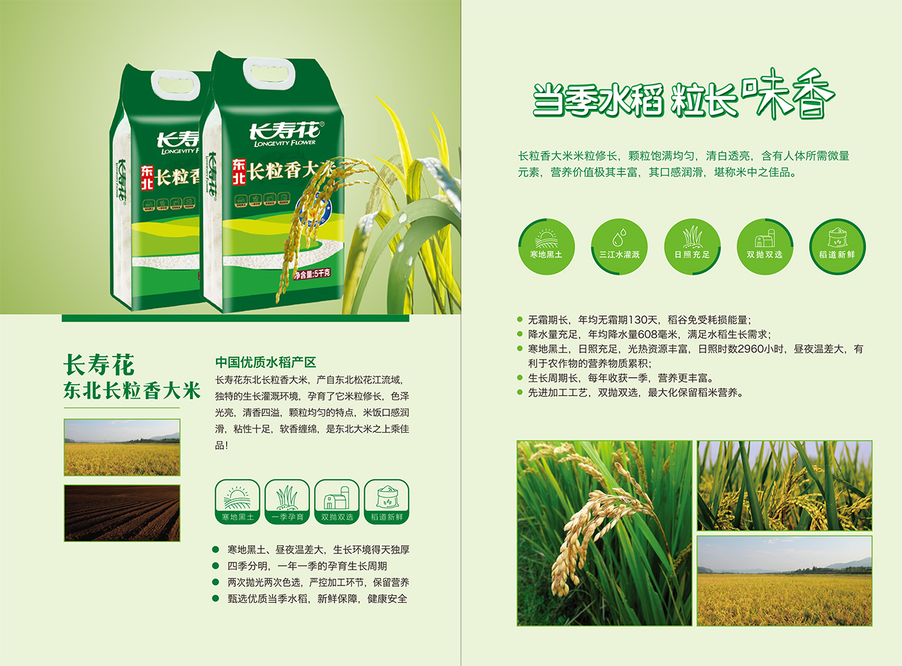 首页| 今年会·jnh中国官方网站