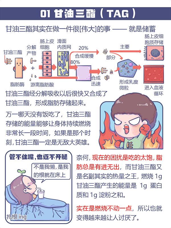 首页| 今年会·jnh中国官方网站