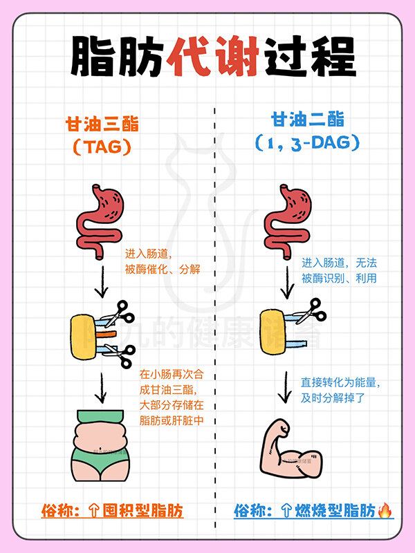 首页| 今年会·jnh中国官方网站