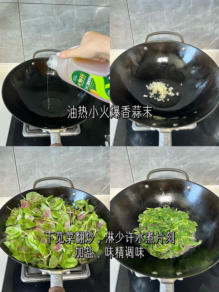 首页| 今年会·jnh中国官方网站