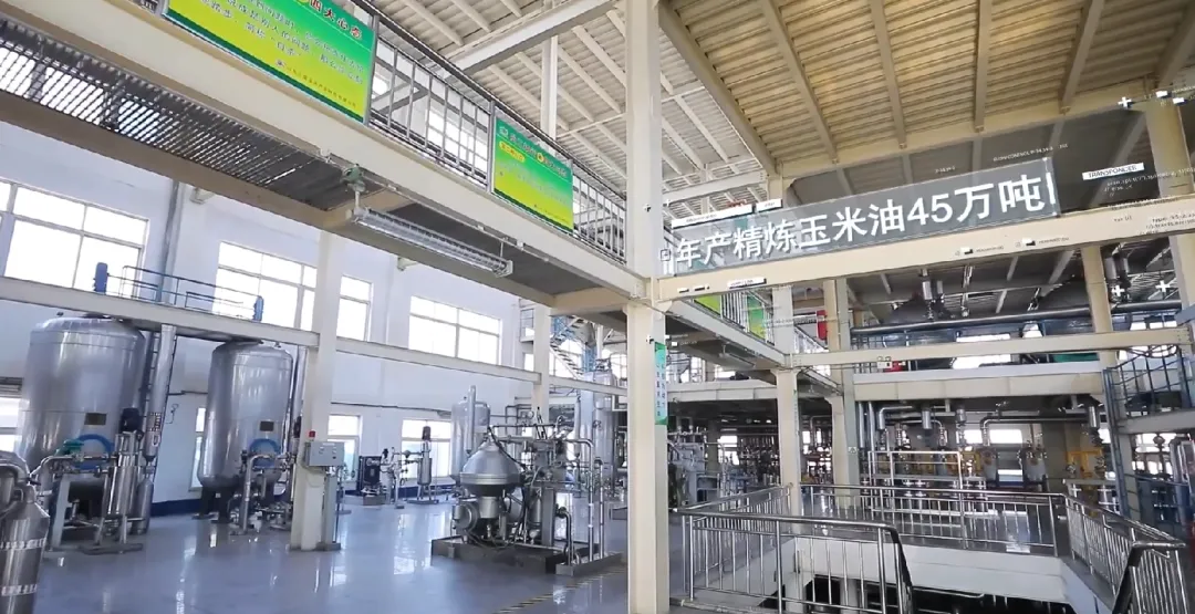 首页| 今年会·jnh中国官方网站