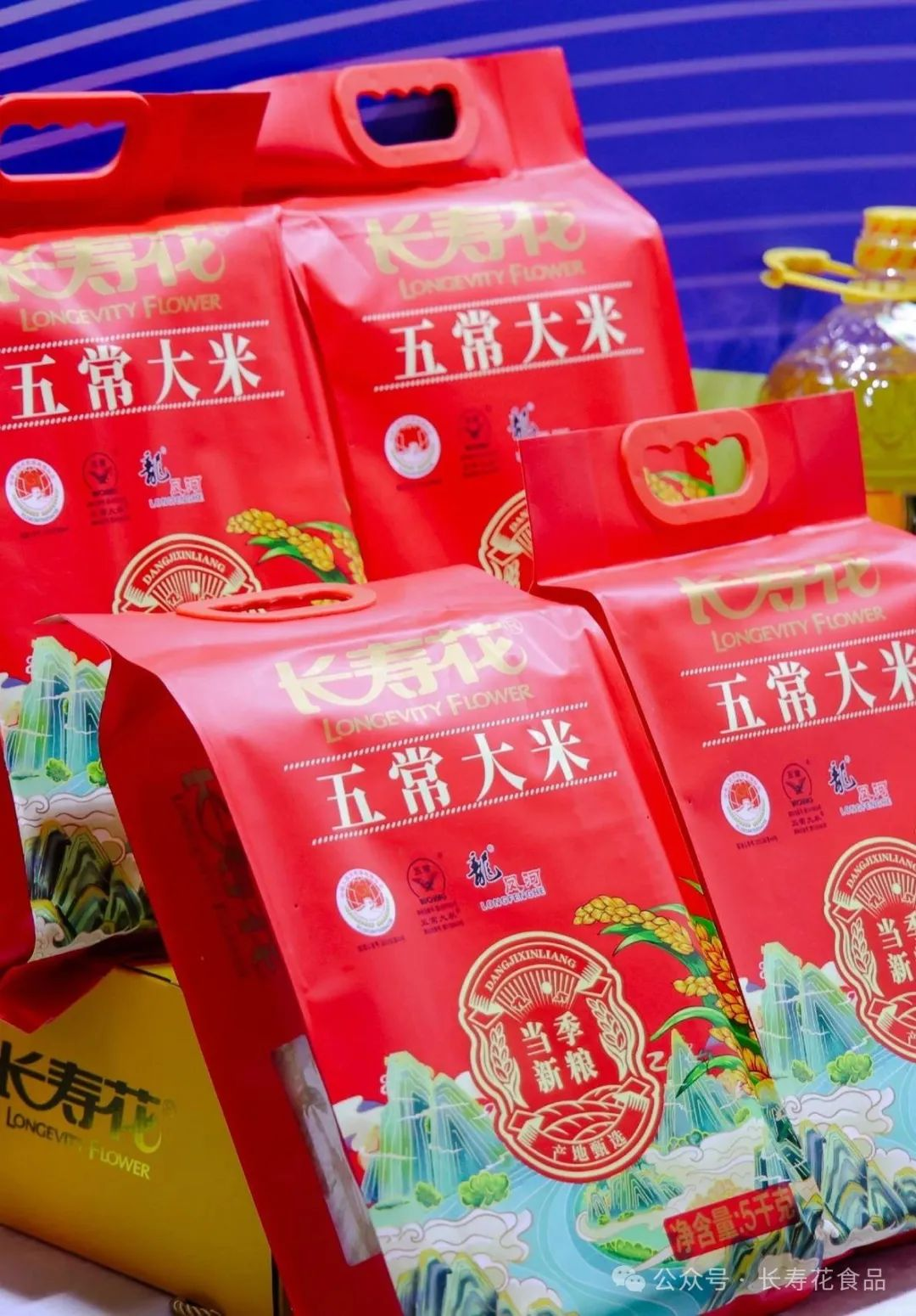 首页| 今年会·jnh中国官方网站