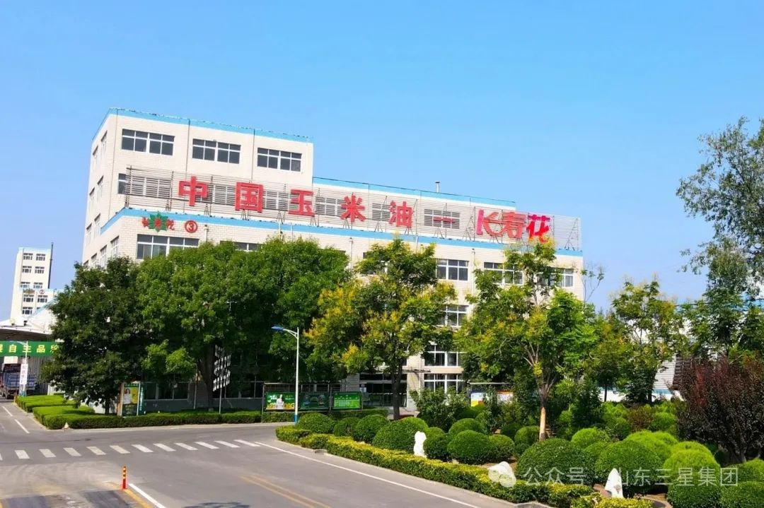 首页| 今年会·jnh中国官方网站