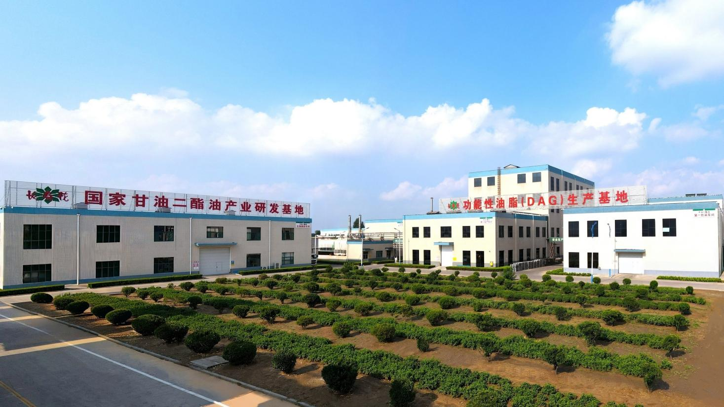 首页| 今年会·jnh中国官方网站