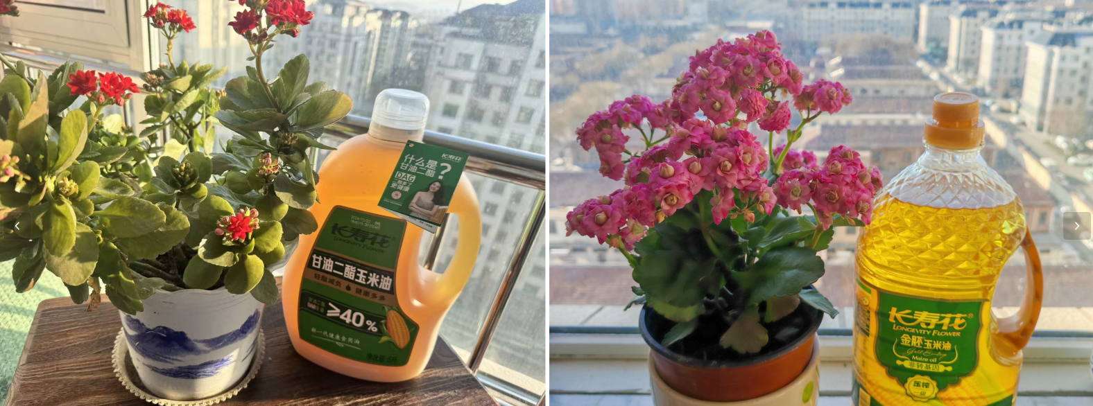 首页| 今年会·jnh中国官方网站