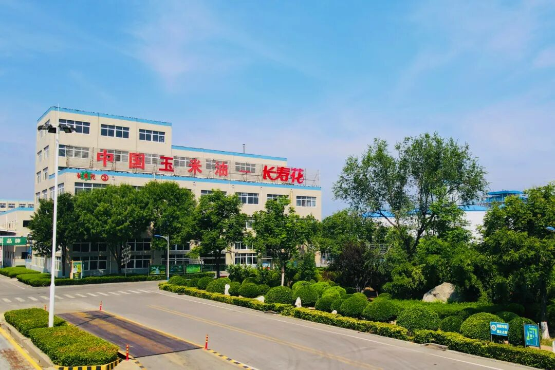 首页| 今年会·jnh中国官方网站