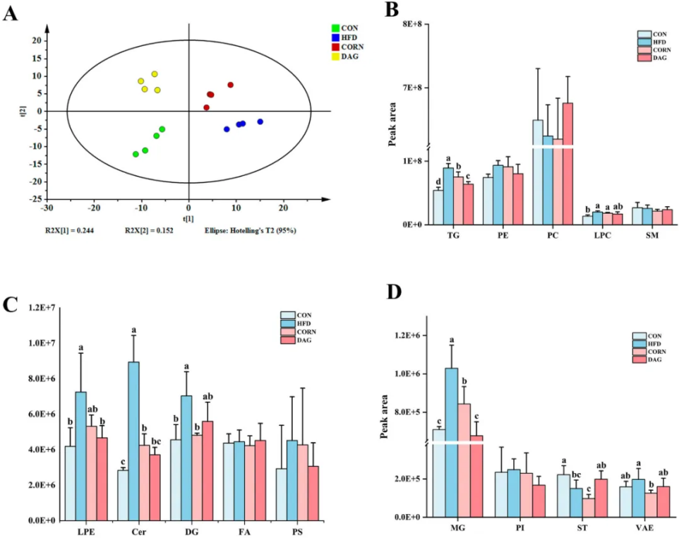 首页| 今年会·jnh中国官方网站