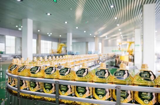 首页| 今年会·jnh中国官方网站