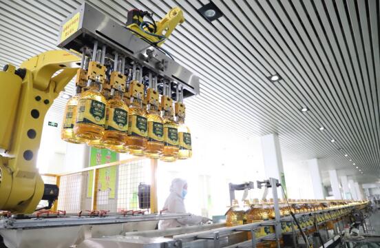 首页| 今年会·jnh中国官方网站