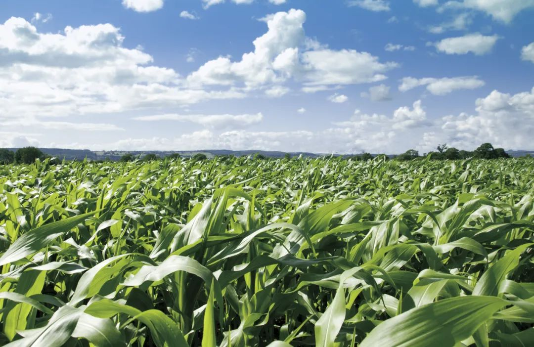 首页| 今年会·jnh中国官方网站