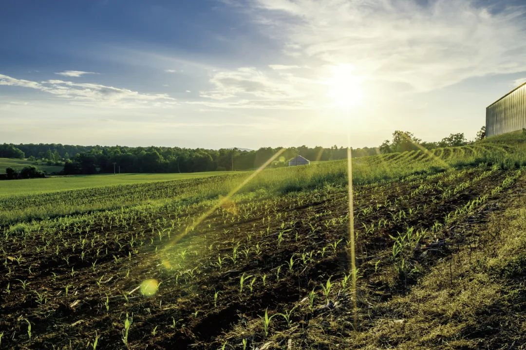 首页| 今年会·jnh中国官方网站