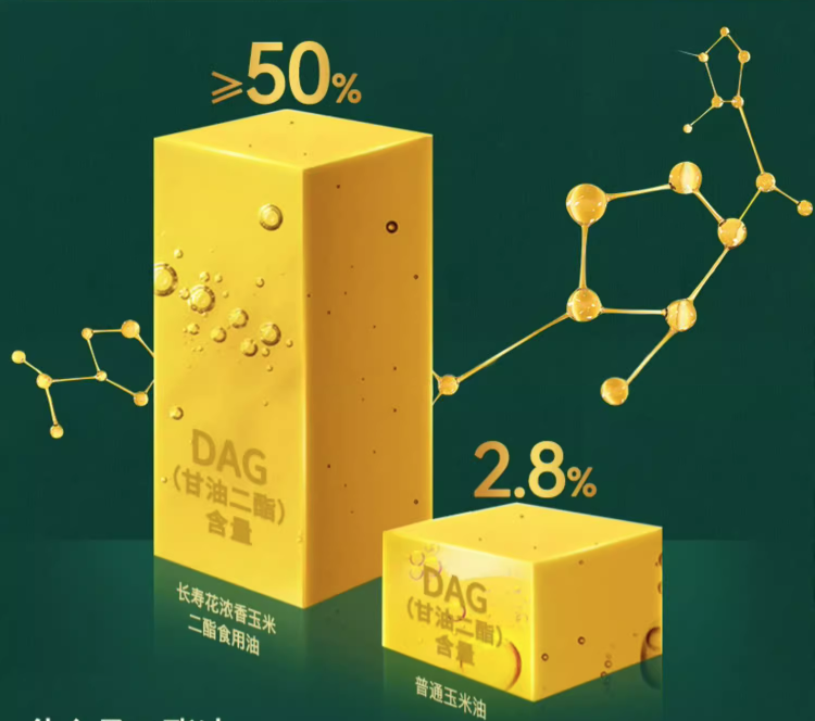 首页| 今年会·jnh中国官方网站