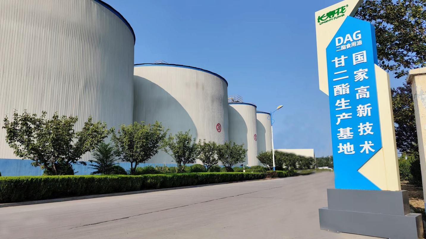 首页| 今年会·jnh中国官方网站